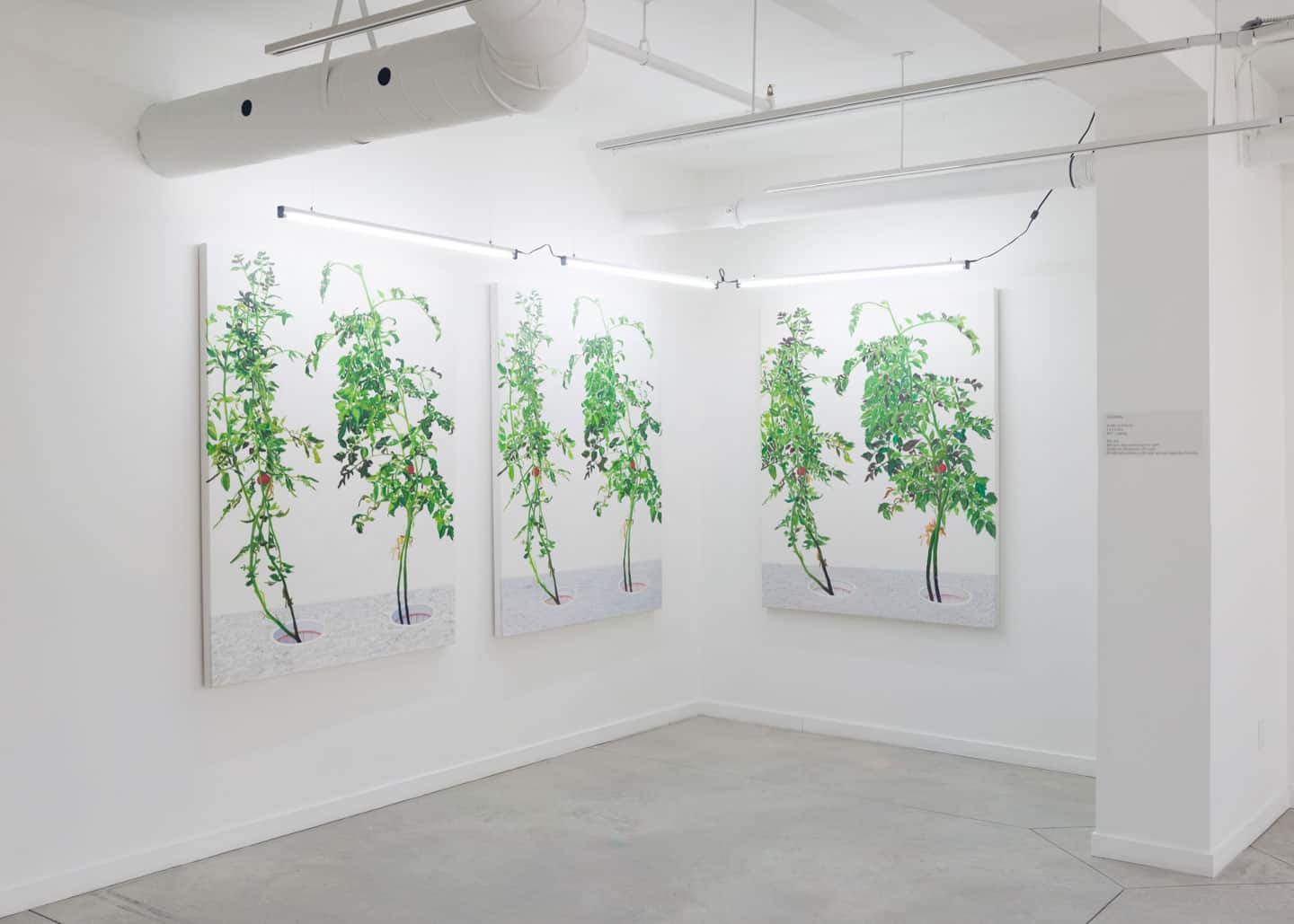 Alex Fischer, VII, 2015,  (3×) 60×48in  oil on canvas, installed in 1, 7 and 6000, O'Born Contemporary